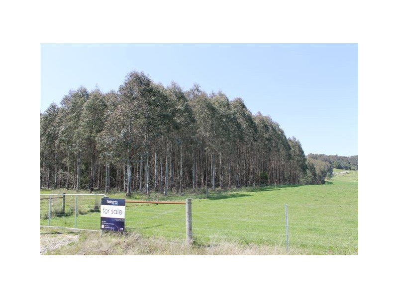 348 Bacala Road, Tunnel TAS 7254