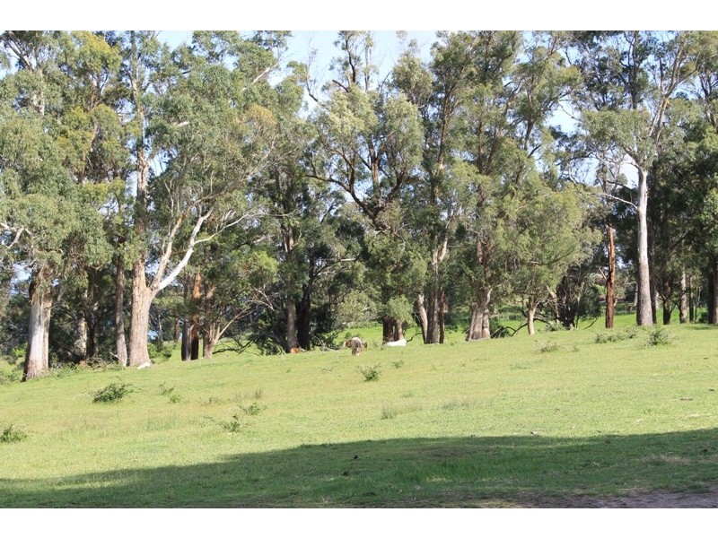 Lot 1 Leam Road, Hillwood TAS 7252