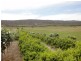 543a John Lees Drive, Dilston TAS 7252