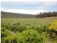 543a John Lees Drive, Dilston TAS 7252