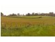 543a John Lees Drive, Dilston TAS 7252