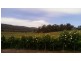 543a John Lees Drive, Dilston TAS 7252