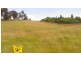 543a John Lees Drive, Dilston TAS 7252