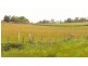 543a John Lees Drive, Dilston TAS 7252