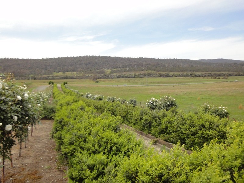 543a John Lees Drive, Dilston TAS 7252