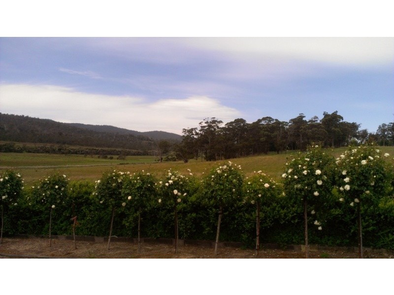 543a John Lees Drive, Dilston TAS 7252