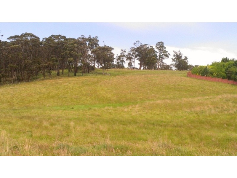 543a John Lees Drive, Dilston TAS 7252