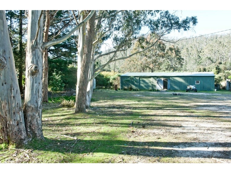 1363 Bogan Road, Golden Valley TAS 7304
