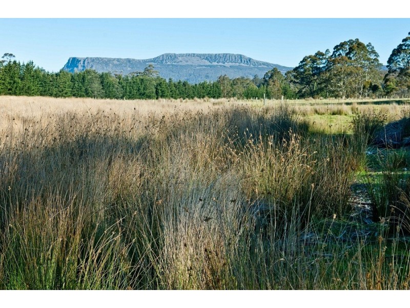 1363 Bogan Road, Golden Valley TAS 7304