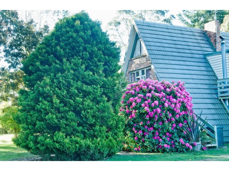 1363 Bogan Road, Golden Valley TAS 7304