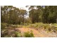Lot 1 Priestleys Lane, Birralee TAS 7303