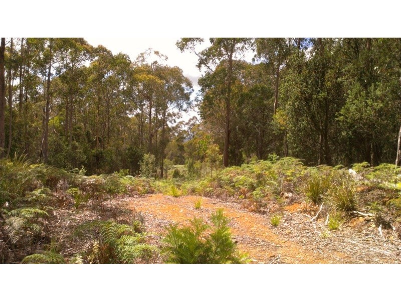 Lot 1 Priestleys Lane, Birralee TAS 7303