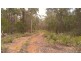 Lot 1 Priestleys Lane, Birralee TAS 7303
