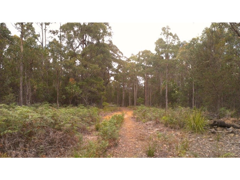 Lot 1 Priestleys Lane, Birralee TAS 7303