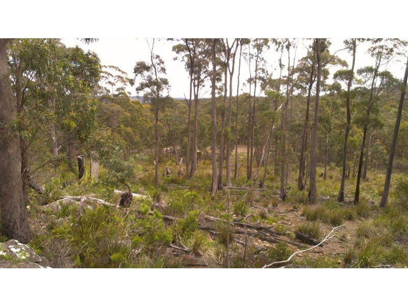 Lot 1 Priestleys Lane, Birralee TAS 7303