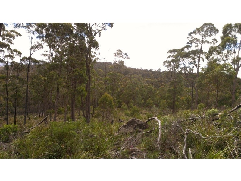 Lot 1 Priestleys Lane, Birralee TAS 7303