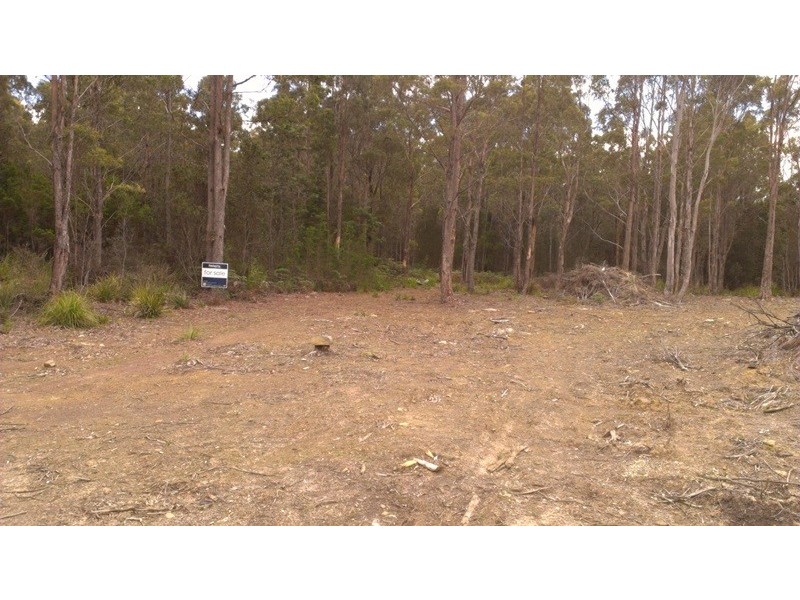 Lot 1 Priestleys Lane, Birralee TAS 7303