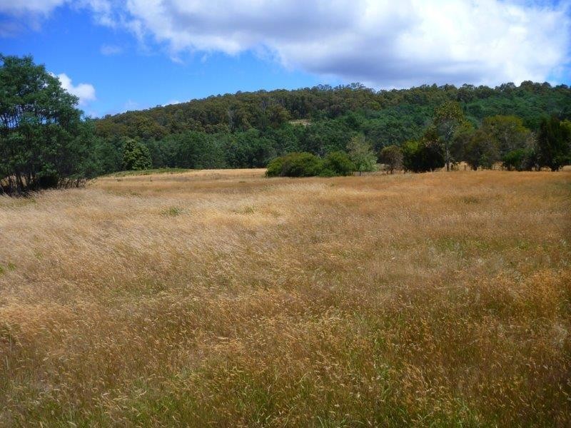 47 Weld Street, Beaconsfield TAS 7270