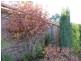 11 Rutherglen Road, Hadspen TAS 7290