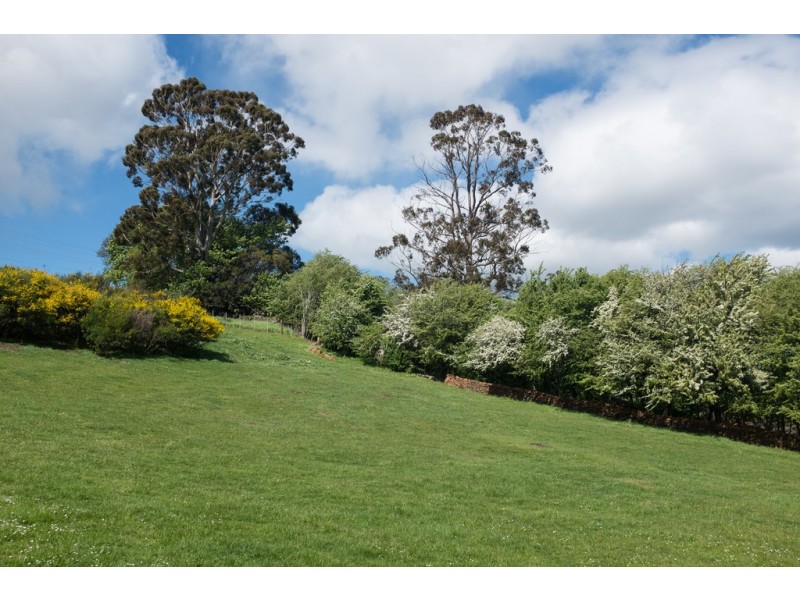 4 Tower Hill Street, Deloraine TAS 7304