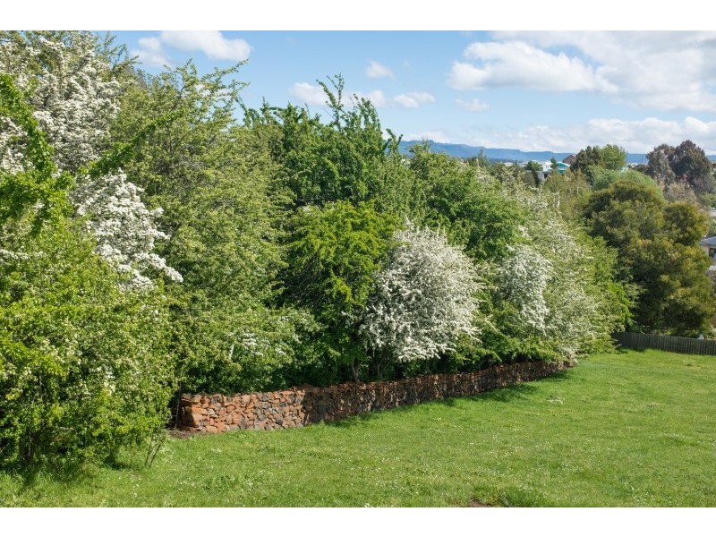 4 Tower Hill Street, Deloraine TAS 7304