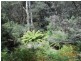 253 Turkey Farm Road, Glengarry TAS 7275