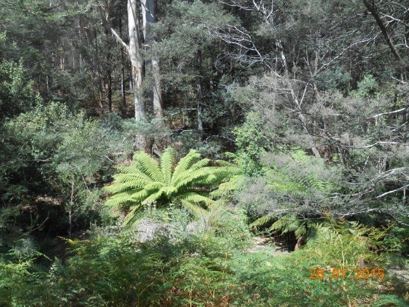 253 Turkey Farm Road, Glengarry TAS 7275