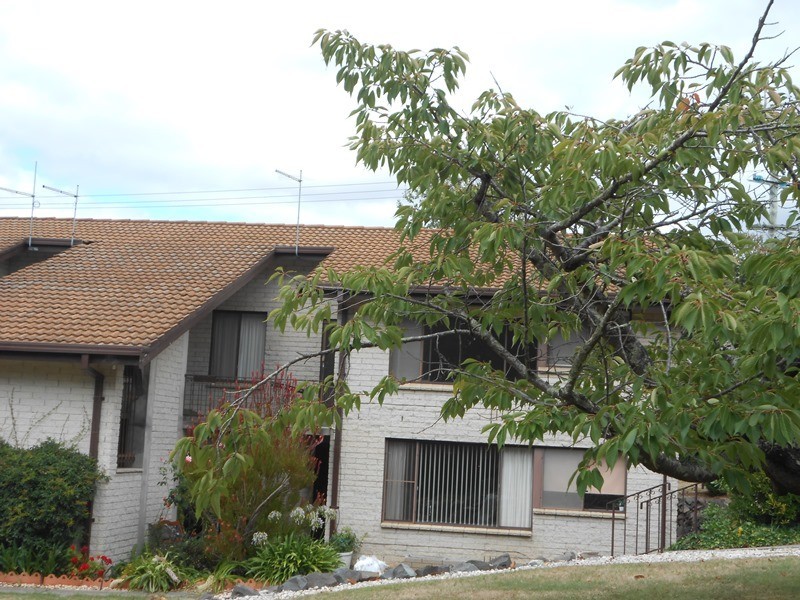 1/45 Newstead Crescent, Newstead TAS 7250