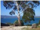 140a Oxford Street, Beauty Point TAS 7270