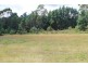255 Karoola Road, Karoola TAS 7267