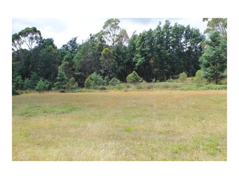 255 Karoola Road, Karoola TAS 7267
