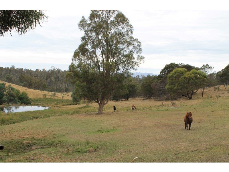 24 Canopus Drive, Blackstone Heights TAS 7250