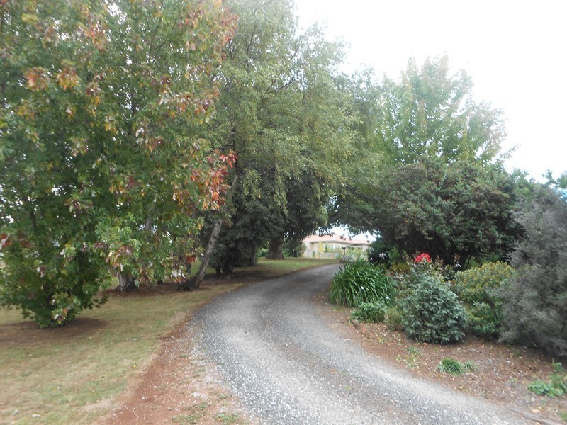 46 Beefeater Street, Deloraine TAS 7304