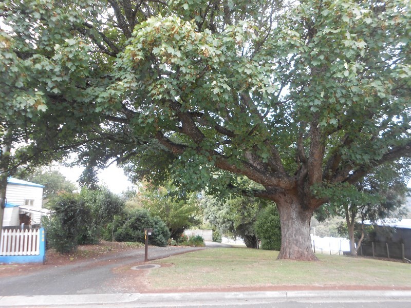 46 Beefeater Street, Deloraine TAS 7304