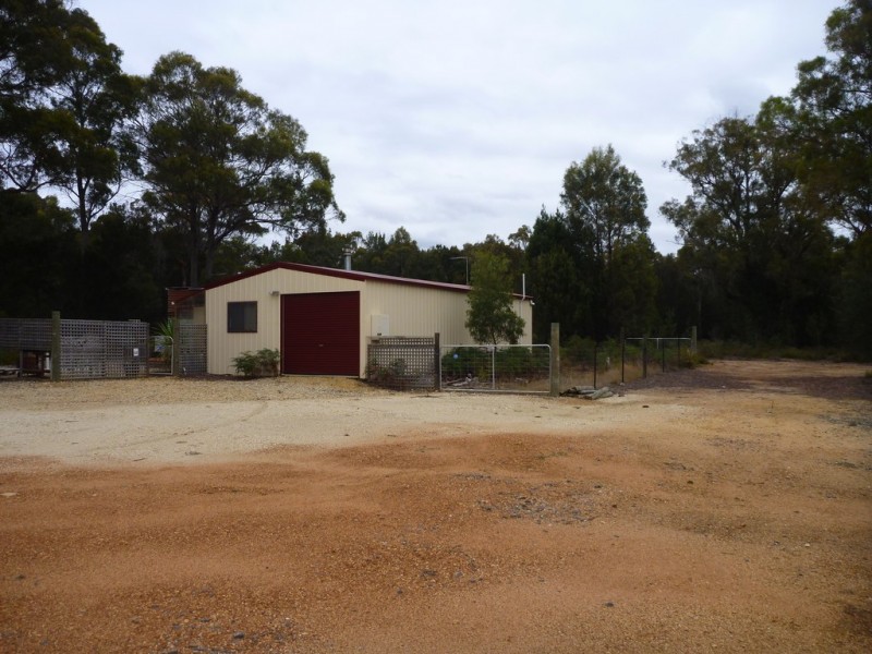 141 Badger Head Rd, Badger Head TAS 7270