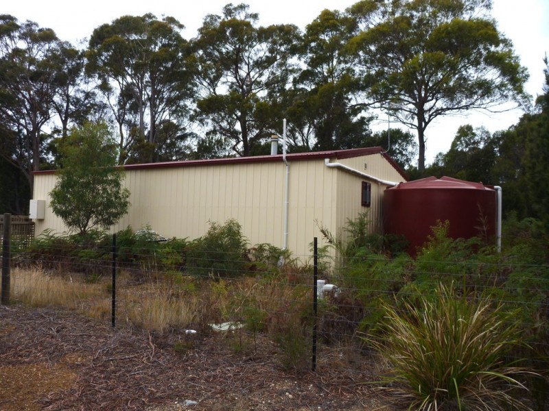 141 Badger Head Rd, Badger Head TAS 7270