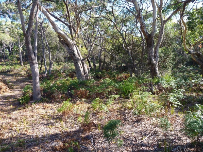 141 Badger Head Rd, Badger Head TAS 7270