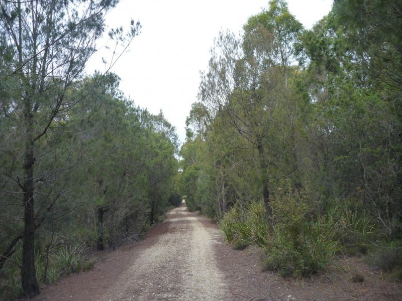 141 Badger Head Rd, Badger Head TAS 7270