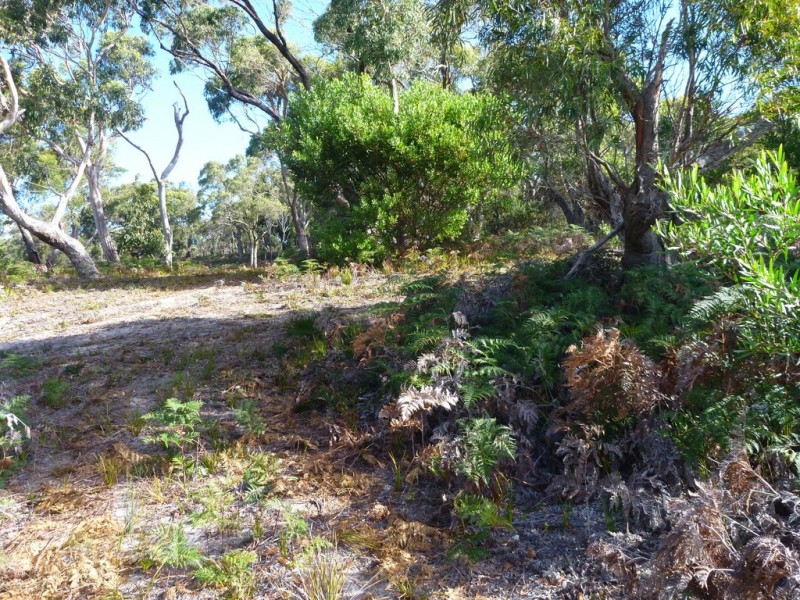 141 Badger Head Rd, Badger Head TAS 7270