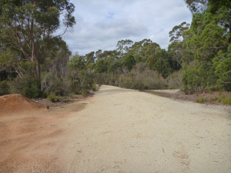 141 Badger Head Rd, Badger Head TAS 7270