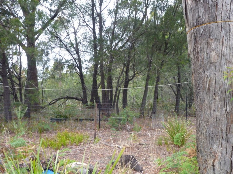141 Badger Head Rd, Badger Head TAS 7270