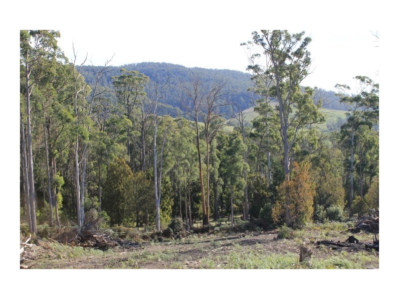 70 Barretts Road, Karoola TAS 7267
