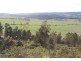 70 Barretts Road, Karoola TAS 7267