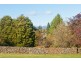 26 Westbury Place, Deloraine TAS 7304