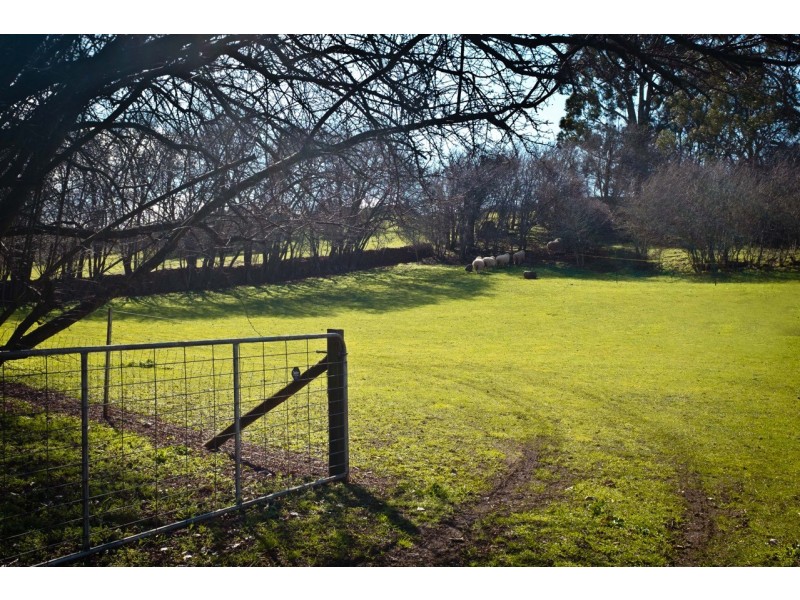 26 Westbury Place, Deloraine TAS 7304