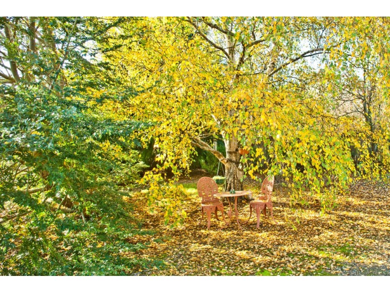 12 East Barrack Street, Deloraine TAS 7304