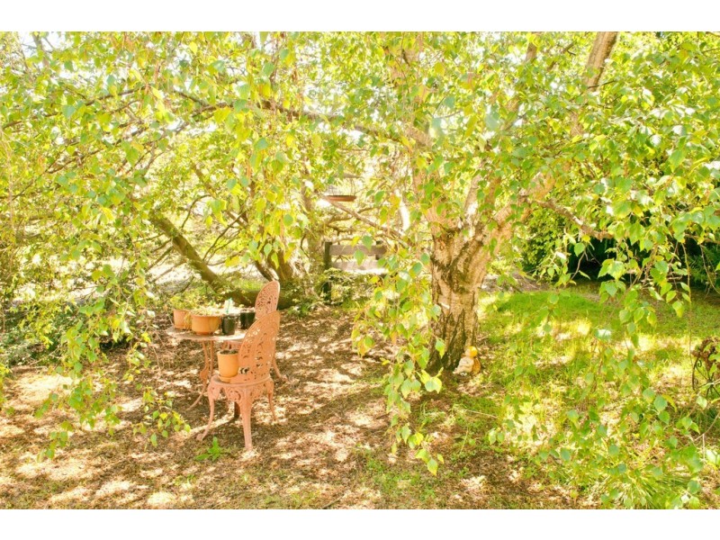 12 East Barrack Street, Deloraine TAS 7304