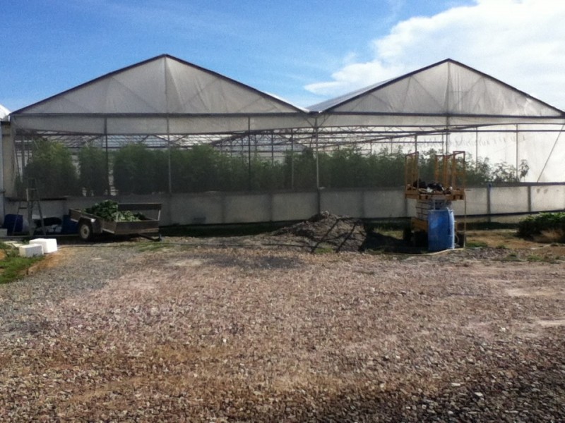 16 Glengarry Road, Glengarry TAS 7275