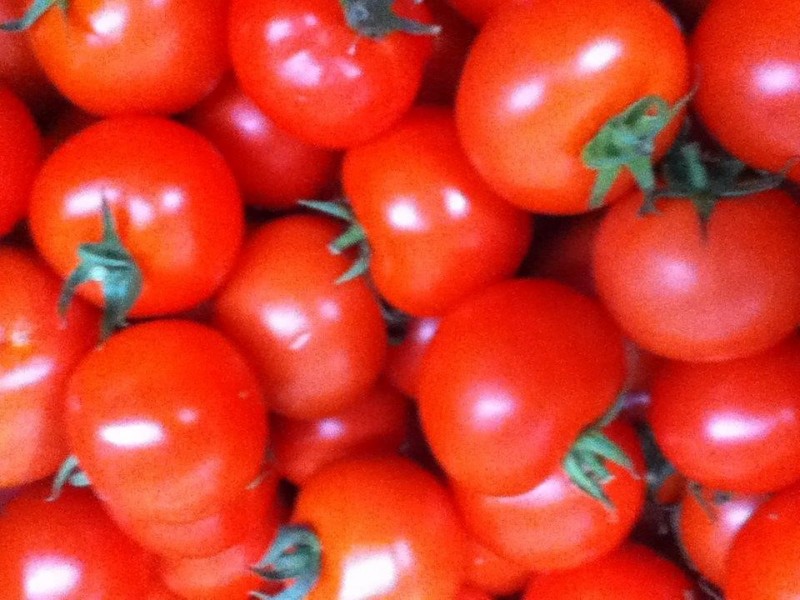 16 Glengarry Road, Glengarry TAS 7275