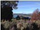46 Traill Road, Exeter TAS 7275